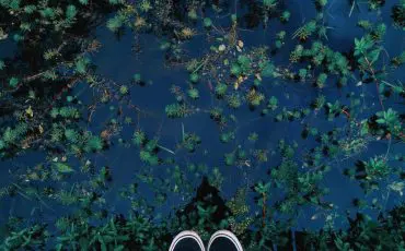 Person wearing black vans old skool sneakers facing body of water
